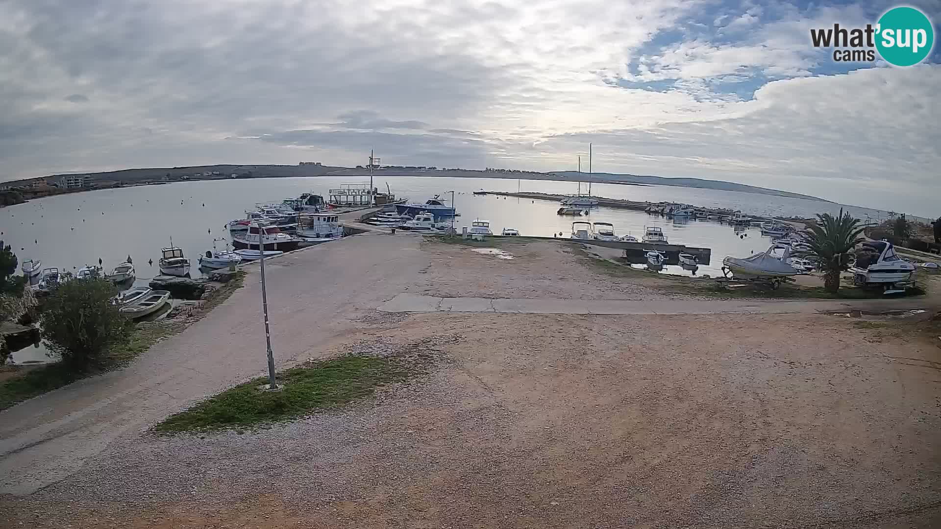 Camera en vivo Povljana – Pag isla