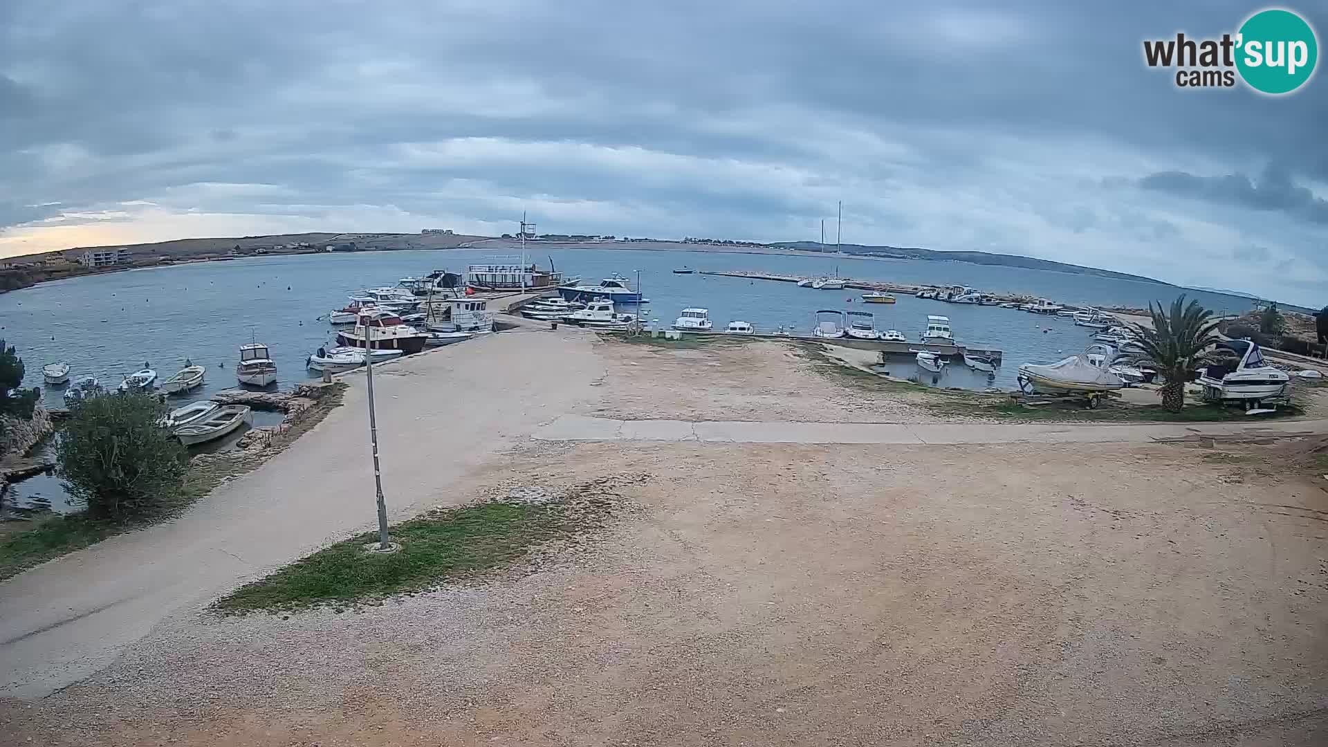 Camera en vivo Povljana – Pag isla