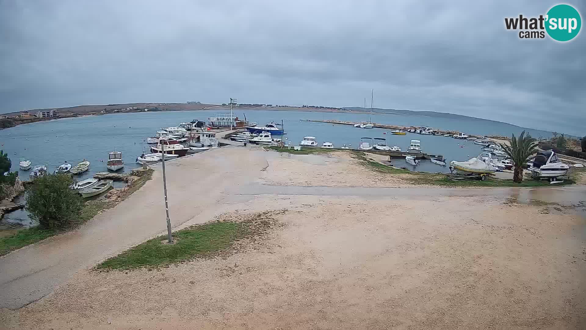 Camera en vivo Povljana – Pag isla
