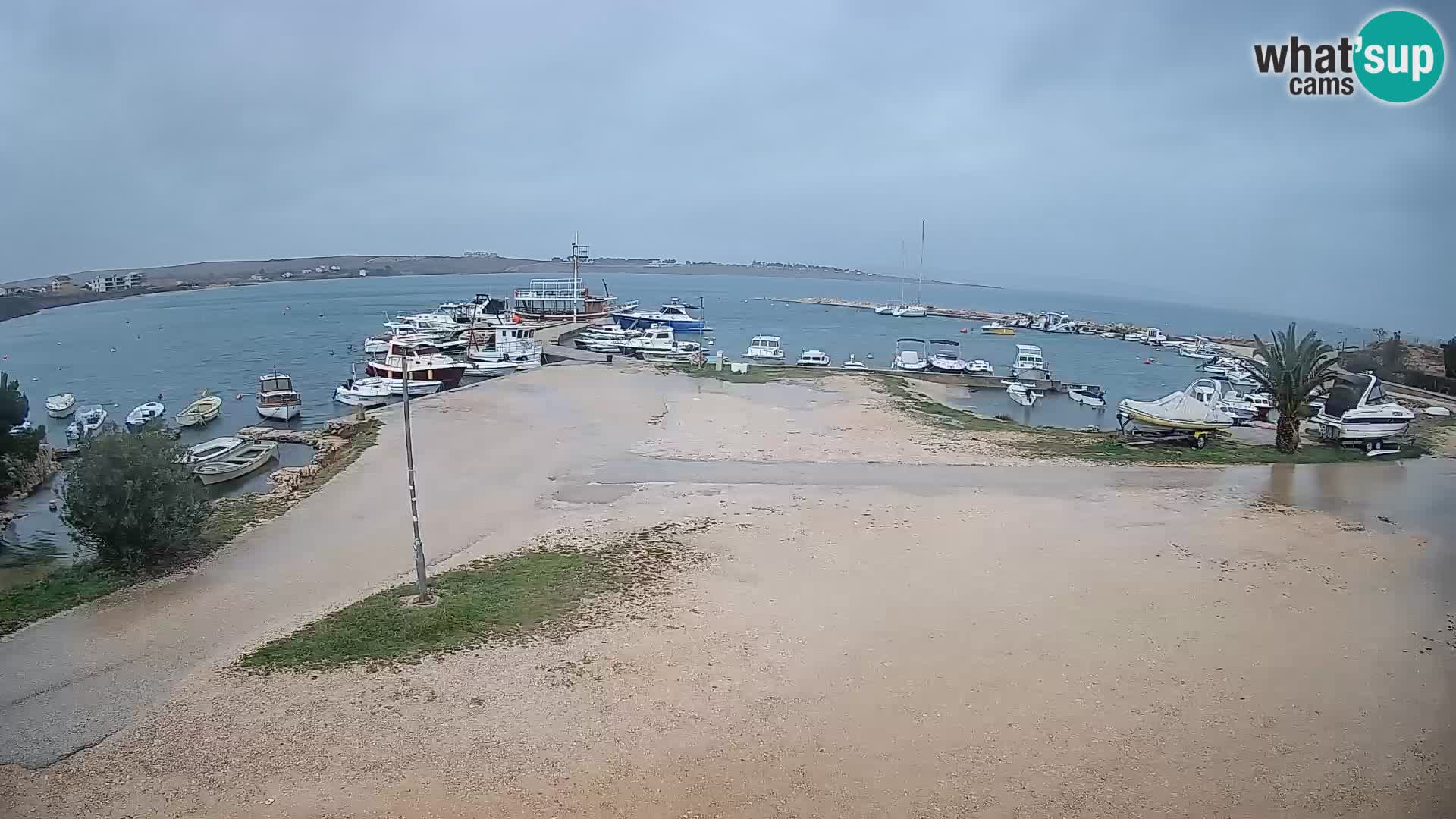 Livecam Pogliana – isola di Pago