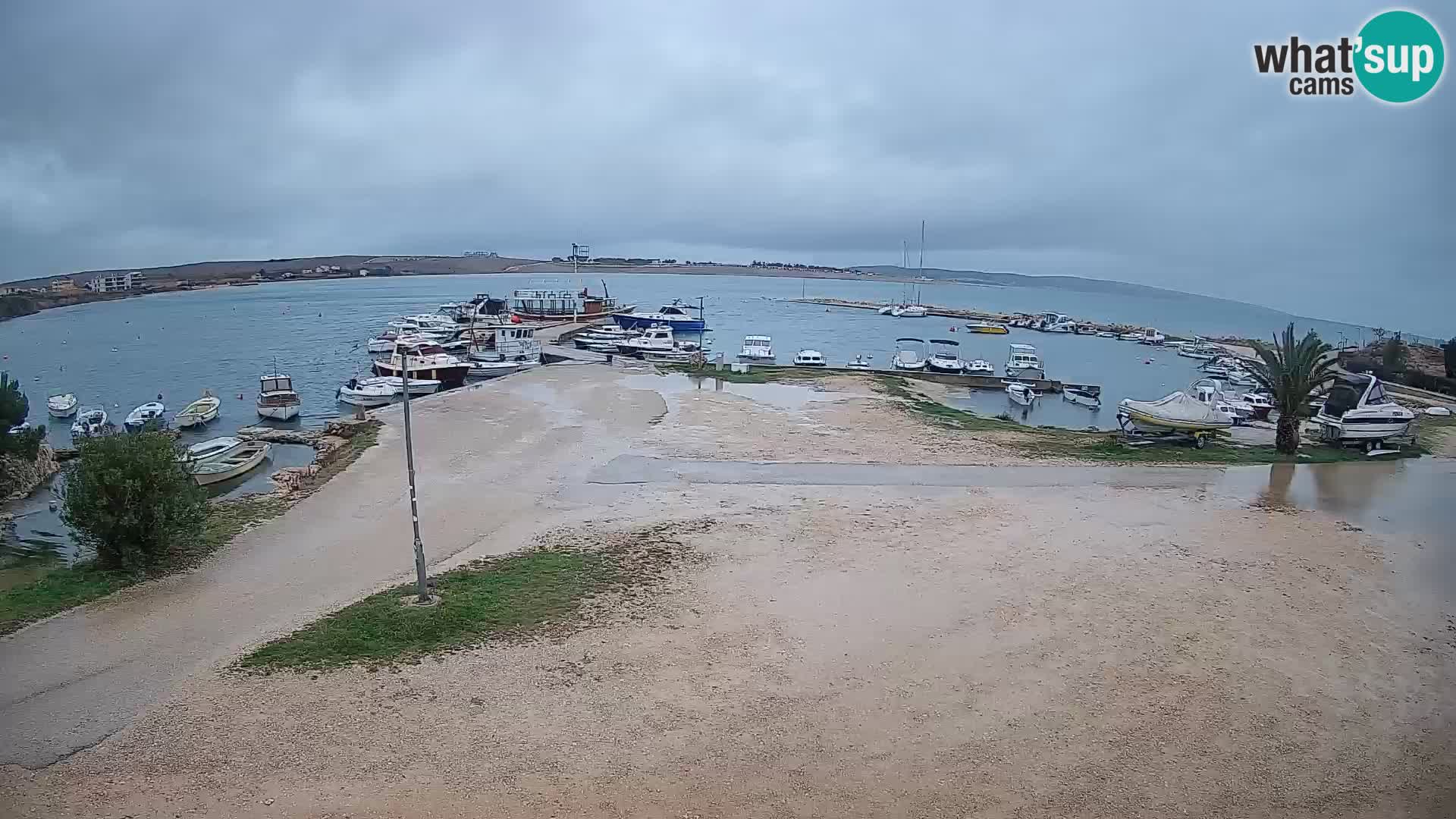 Camera en vivo Povljana – Pag isla