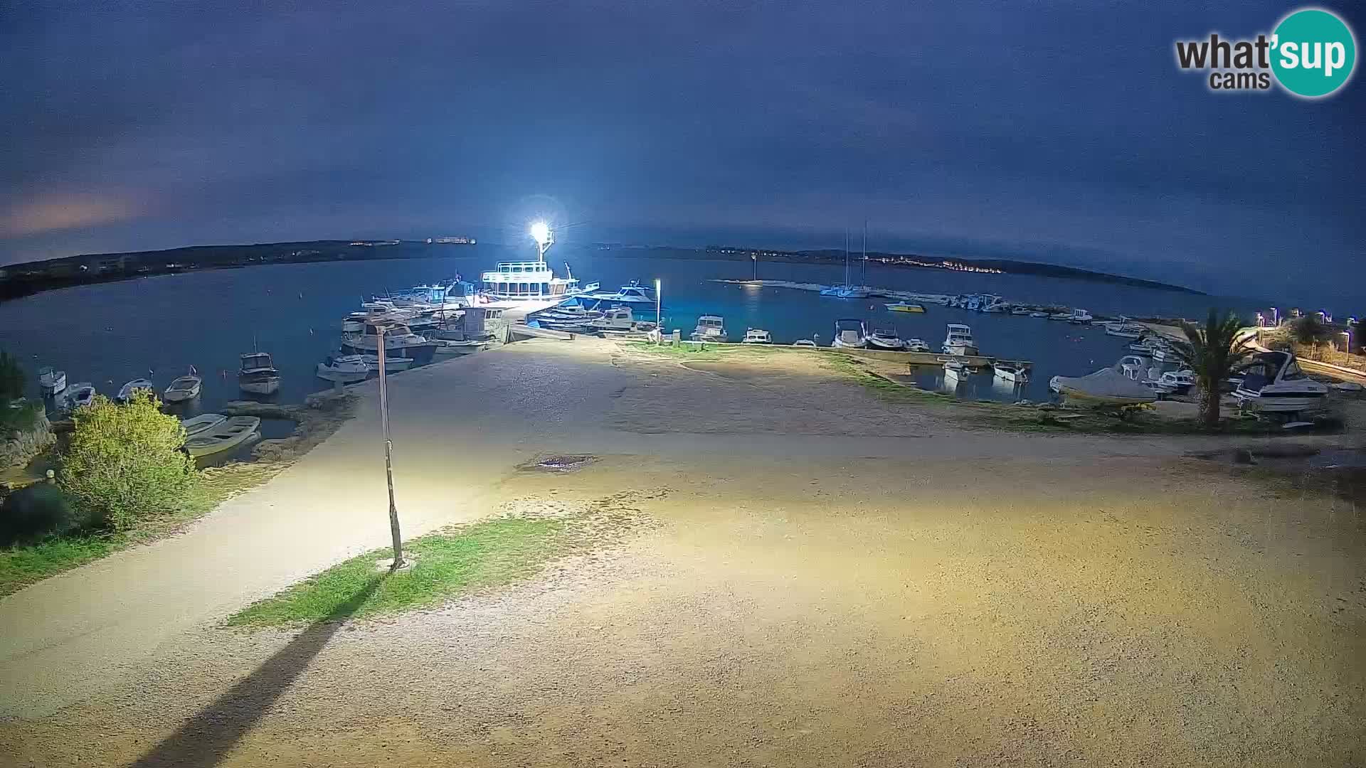 Camera en vivo Povljana – Pag isla