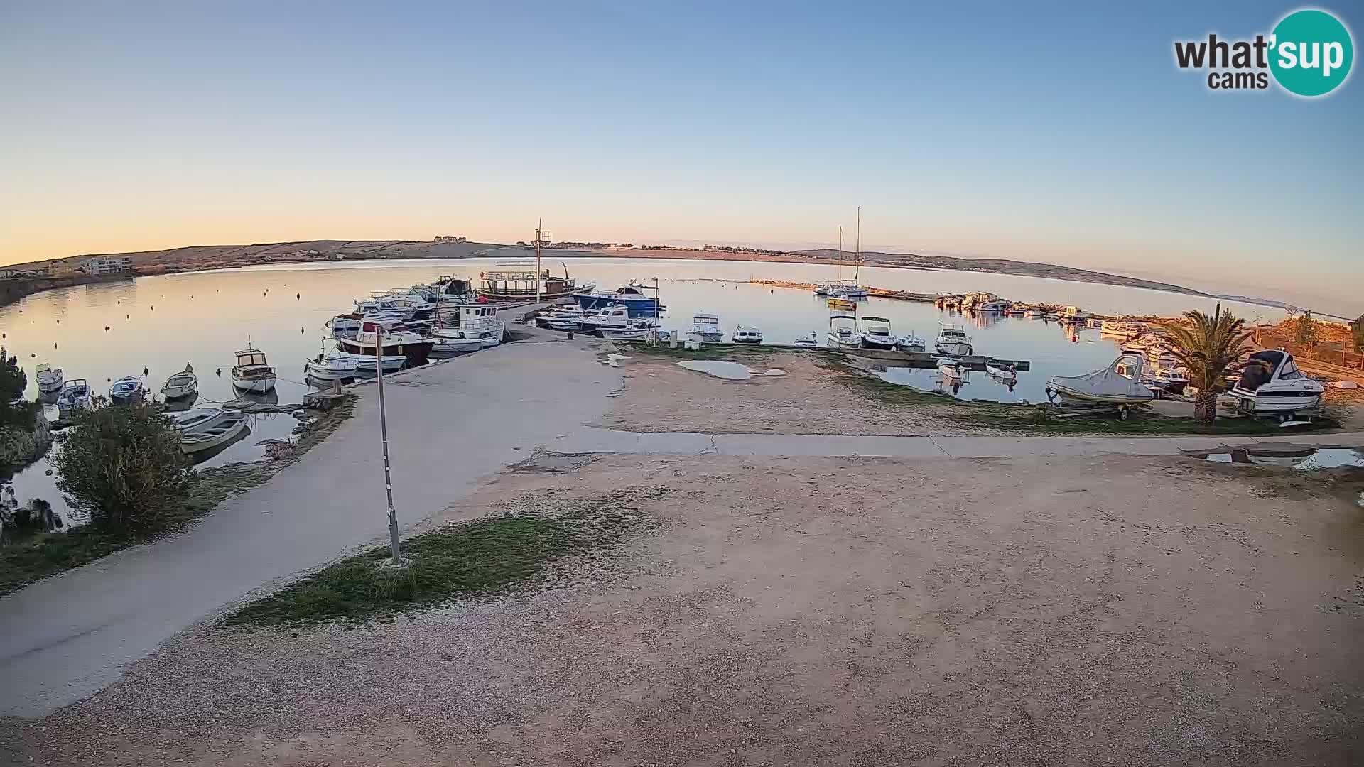 Camera en vivo Povljana – Pag isla