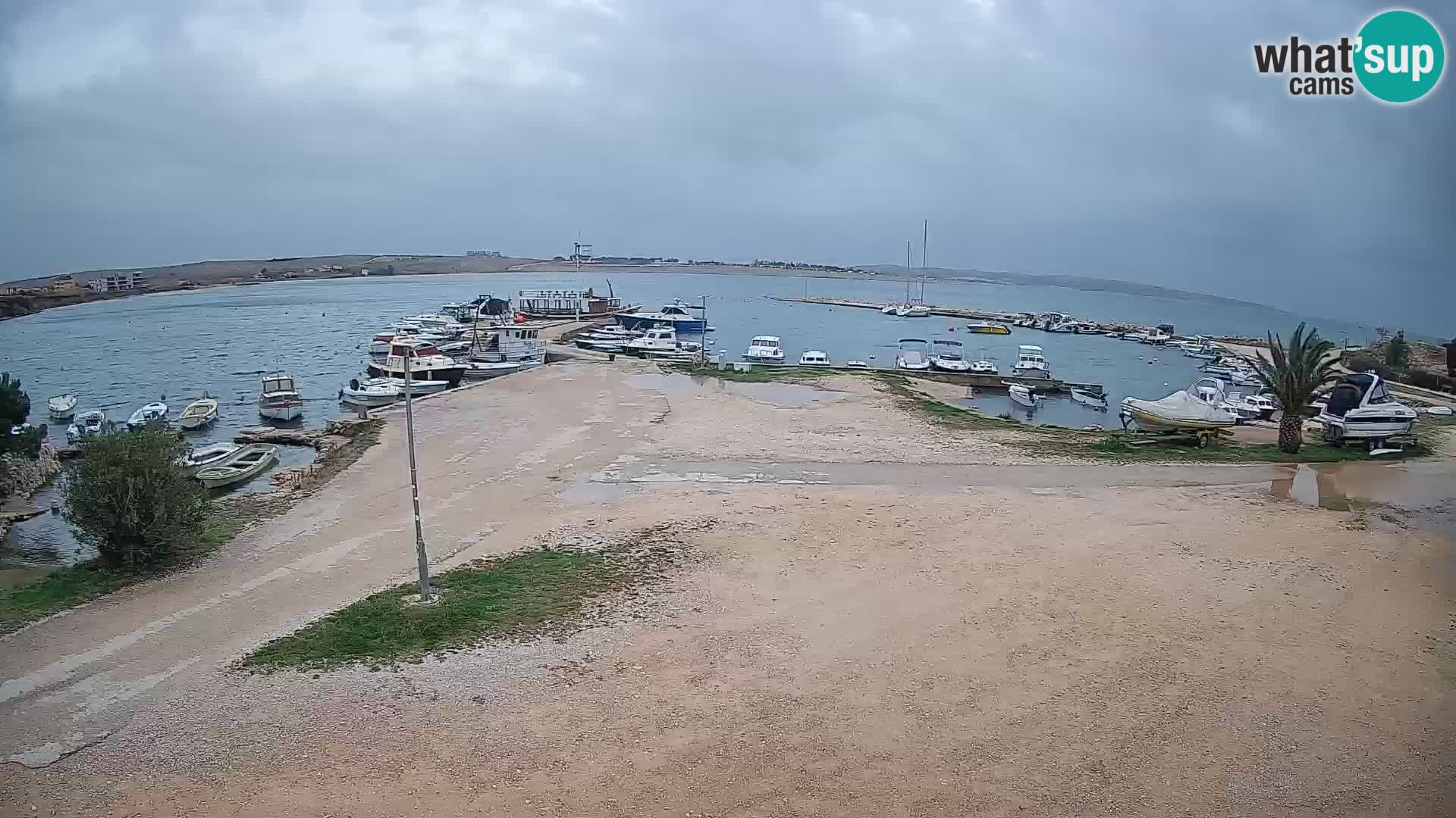 Livecam Pogliana – isola di Pago