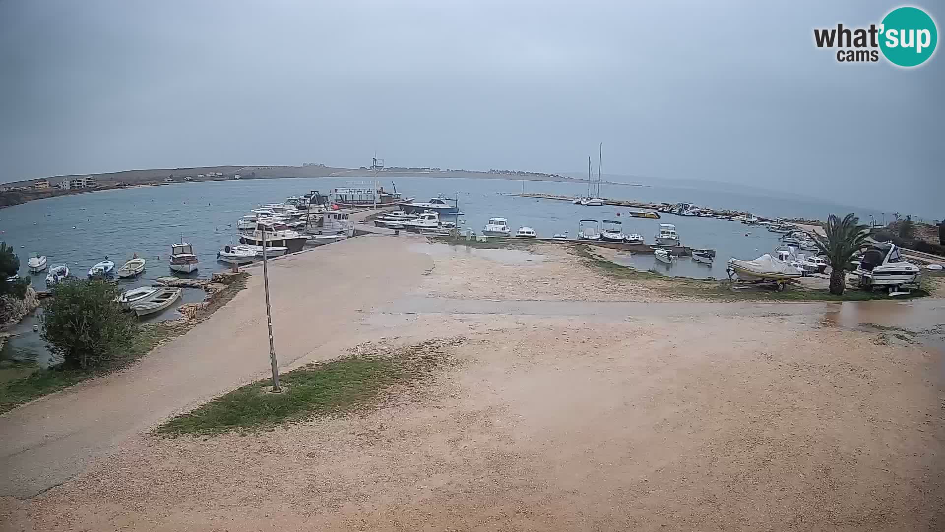 Camera en vivo Povljana – Pag isla