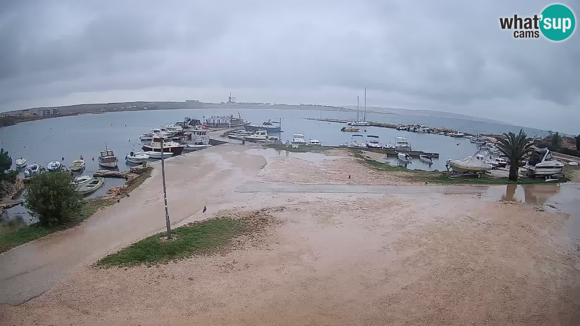Live Webcam Povljana – Pag
