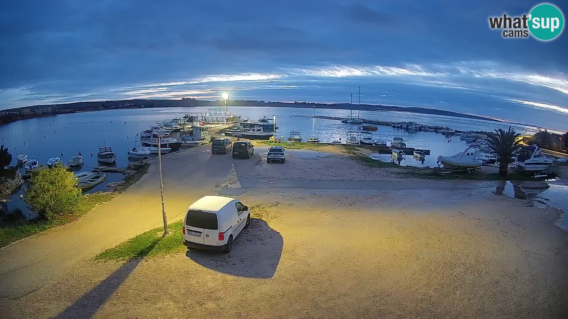 Camera en vivo Povljana – Pag isla