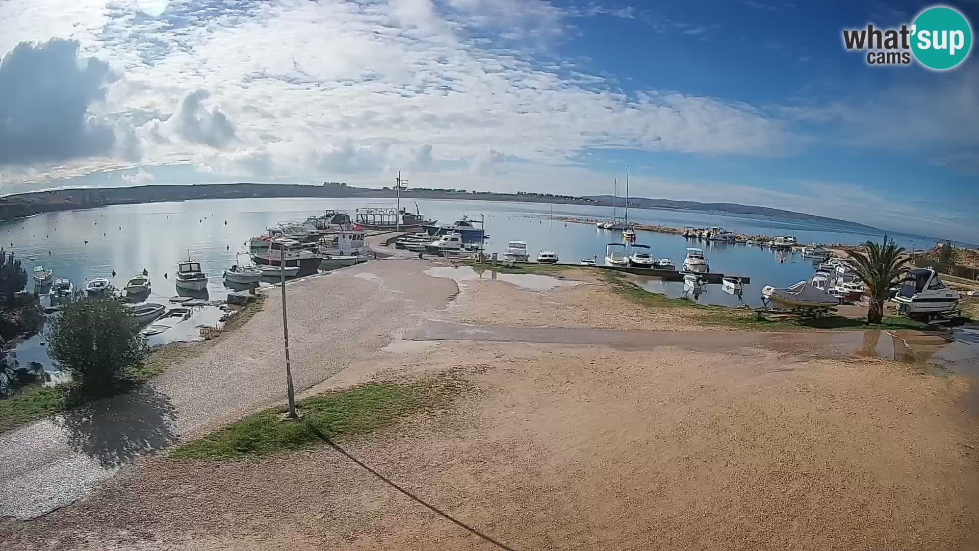 Livecam Pogliana – isola di Pago