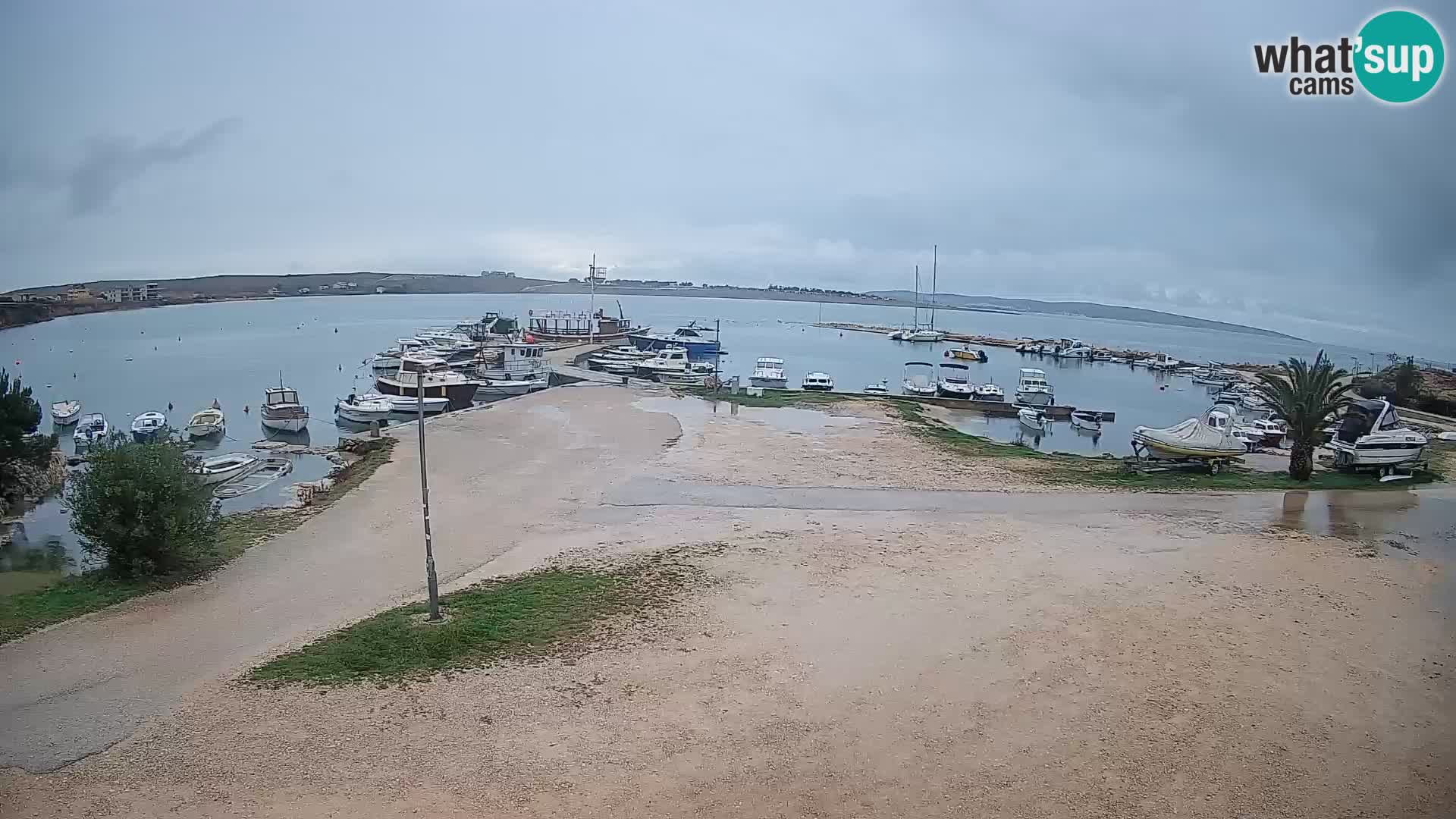 Camera en vivo Povljana – Pag isla