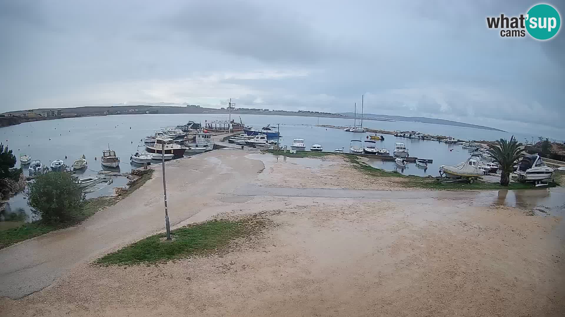Webcam Povljana – Pag insel