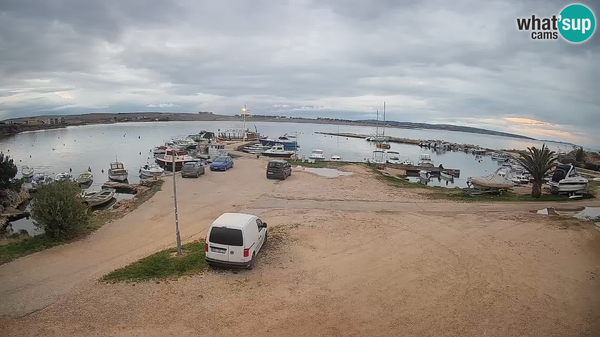 Camera en vivo Povljana – Pag isla