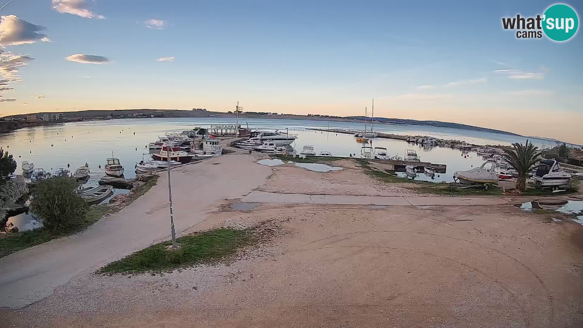 Camera en vivo Povljana – Pag isla