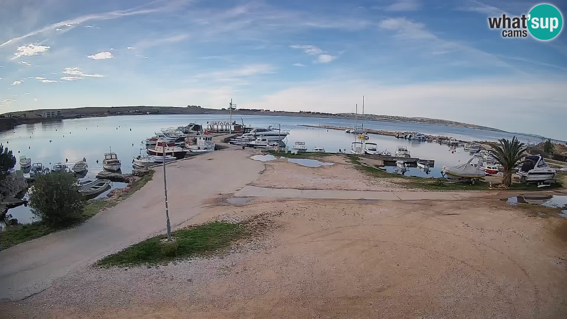 Camera en vivo Povljana – Pag isla
