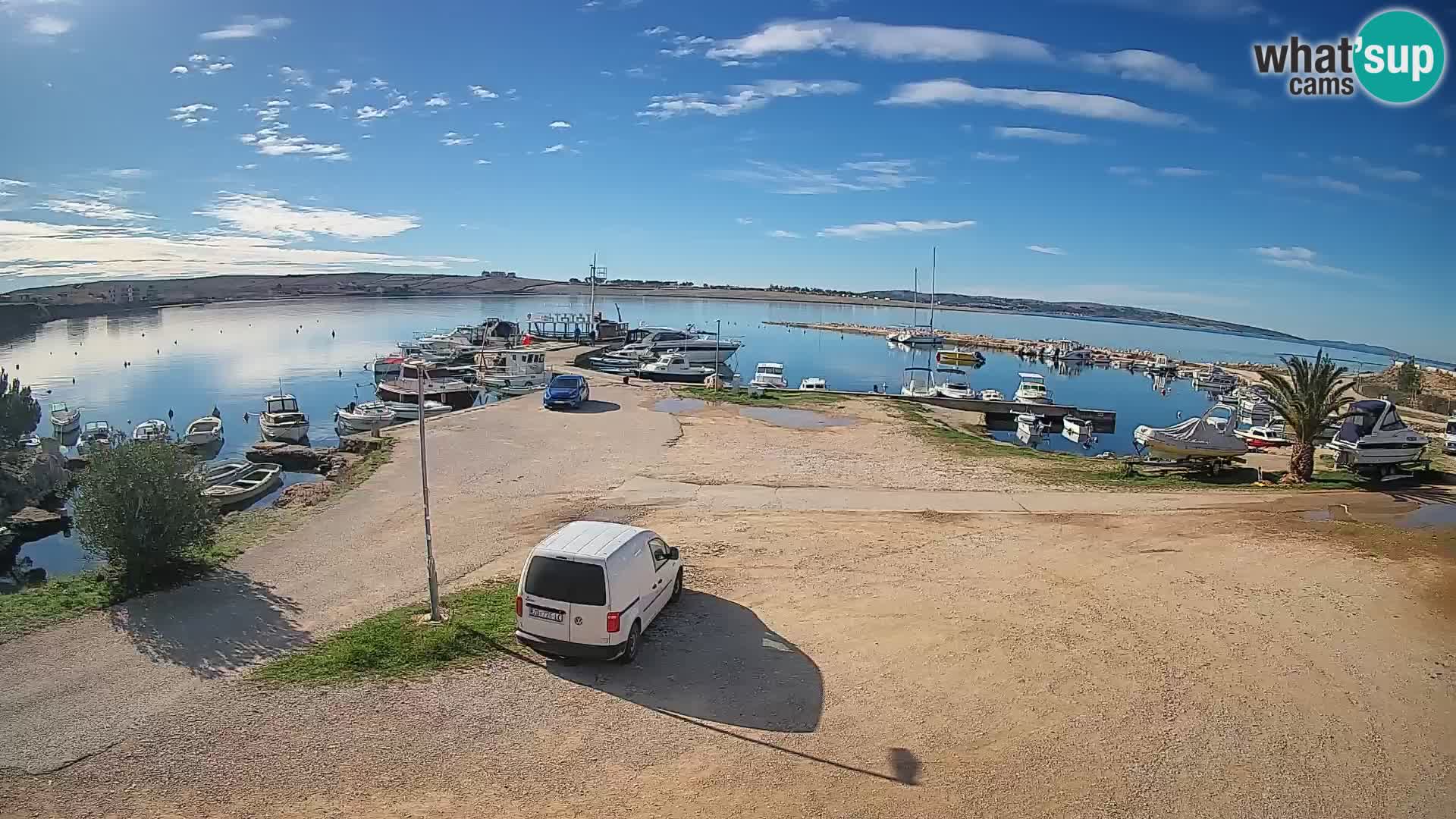 Camera en vivo Povljana – Pag isla