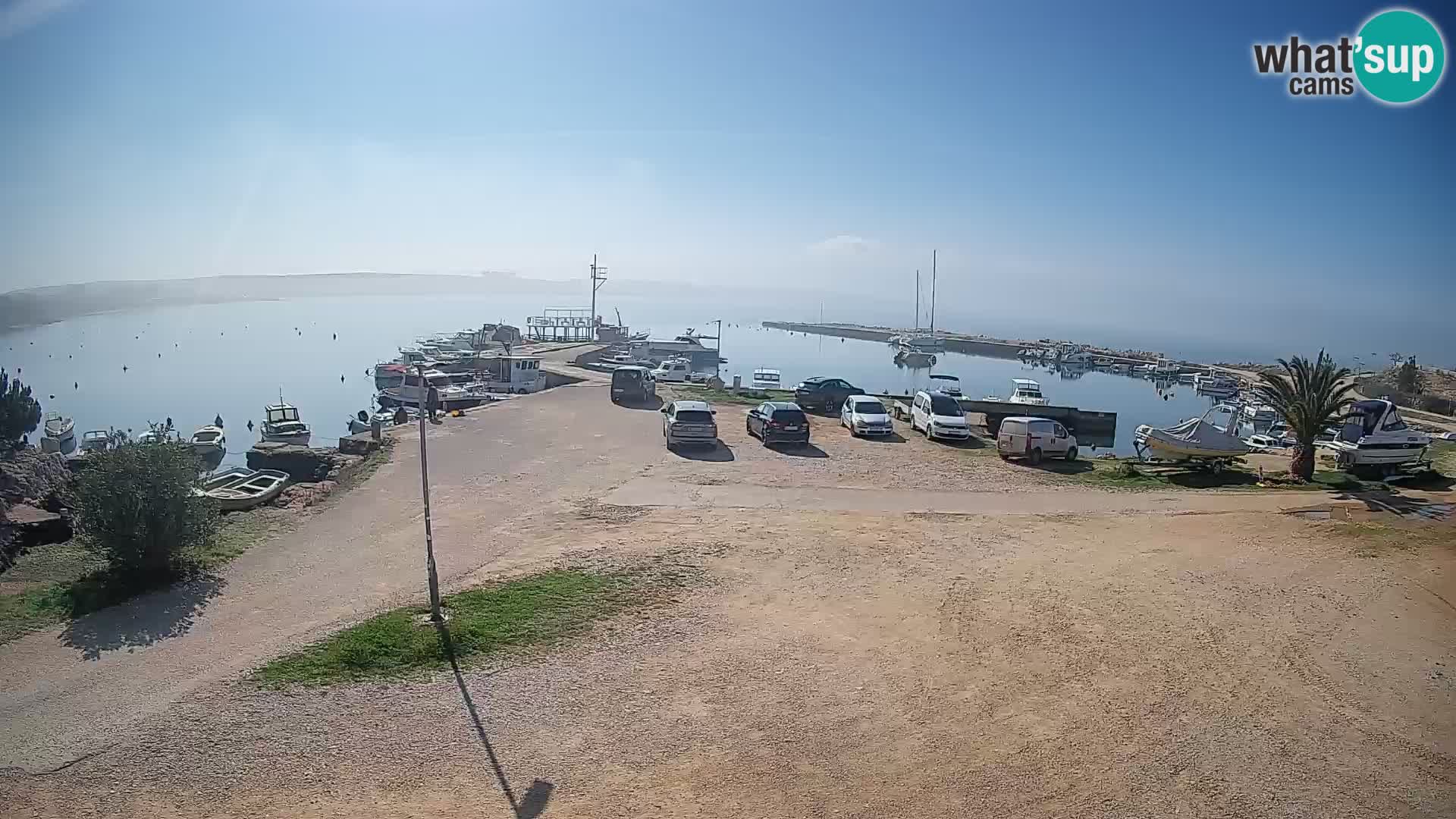 Camera en vivo Povljana – Pag isla