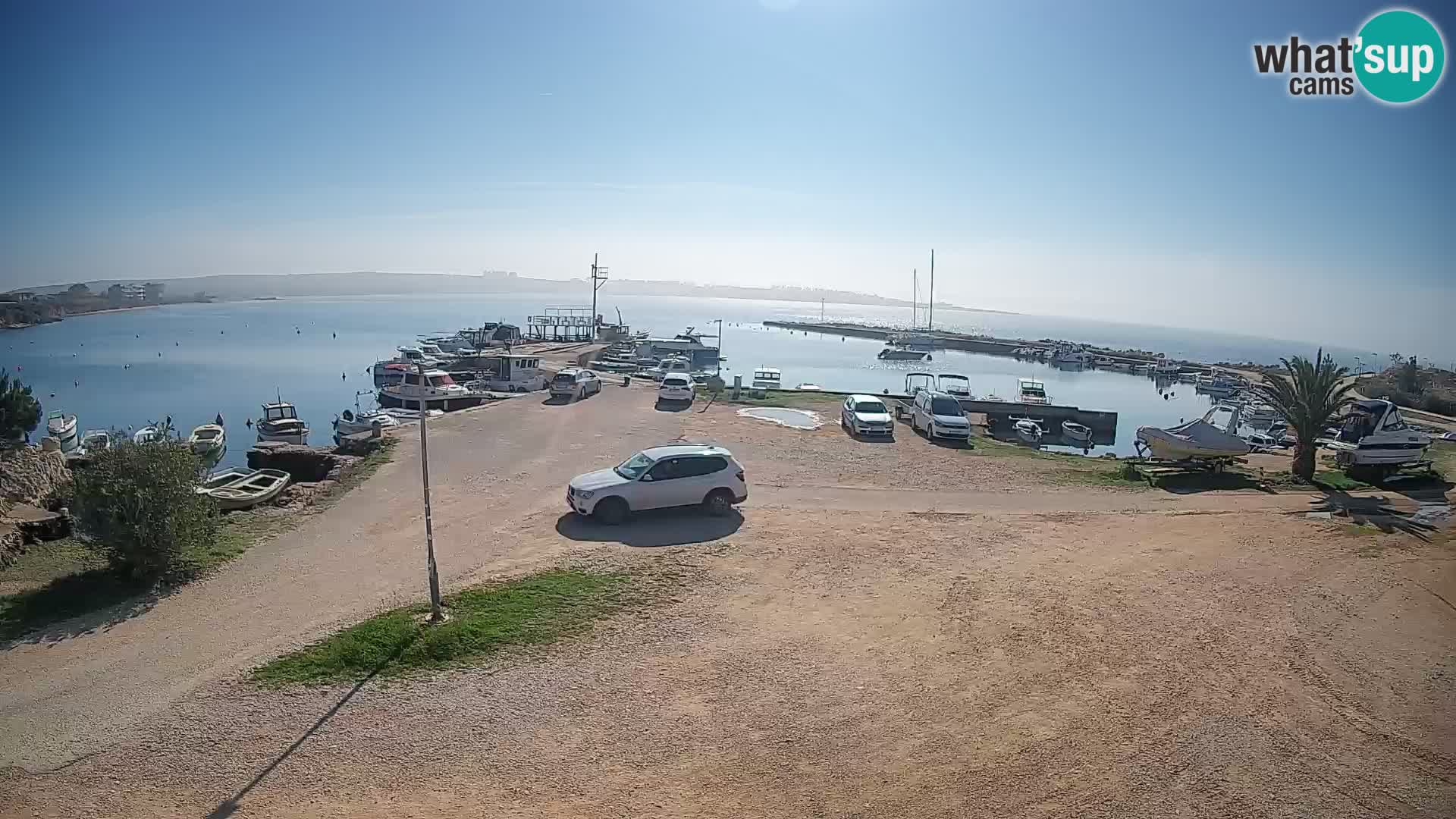 Camera en vivo Povljana – Pag isla