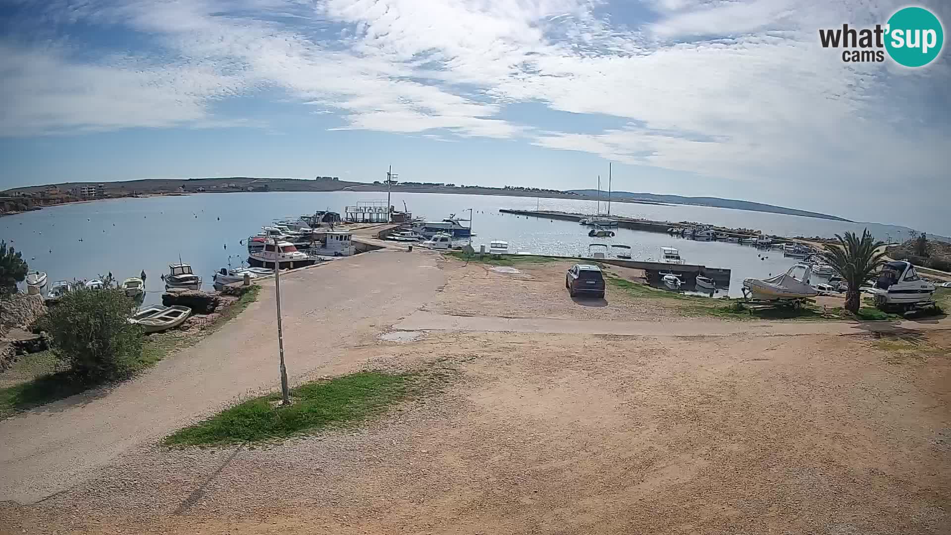 Camera en vivo Povljana – Pag isla