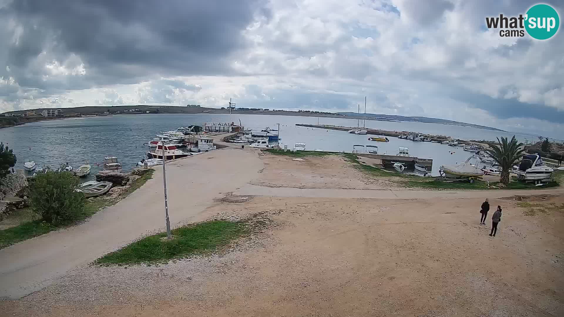 Camera en vivo Povljana – Pag isla
