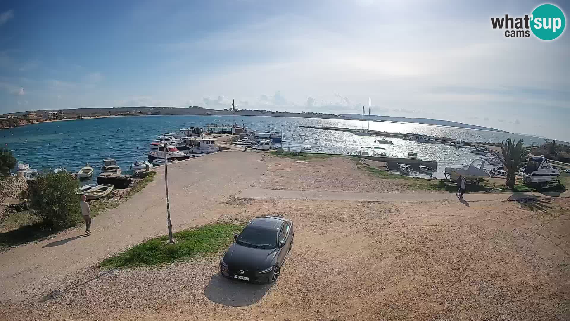 Camera en vivo Povljana – Pag isla