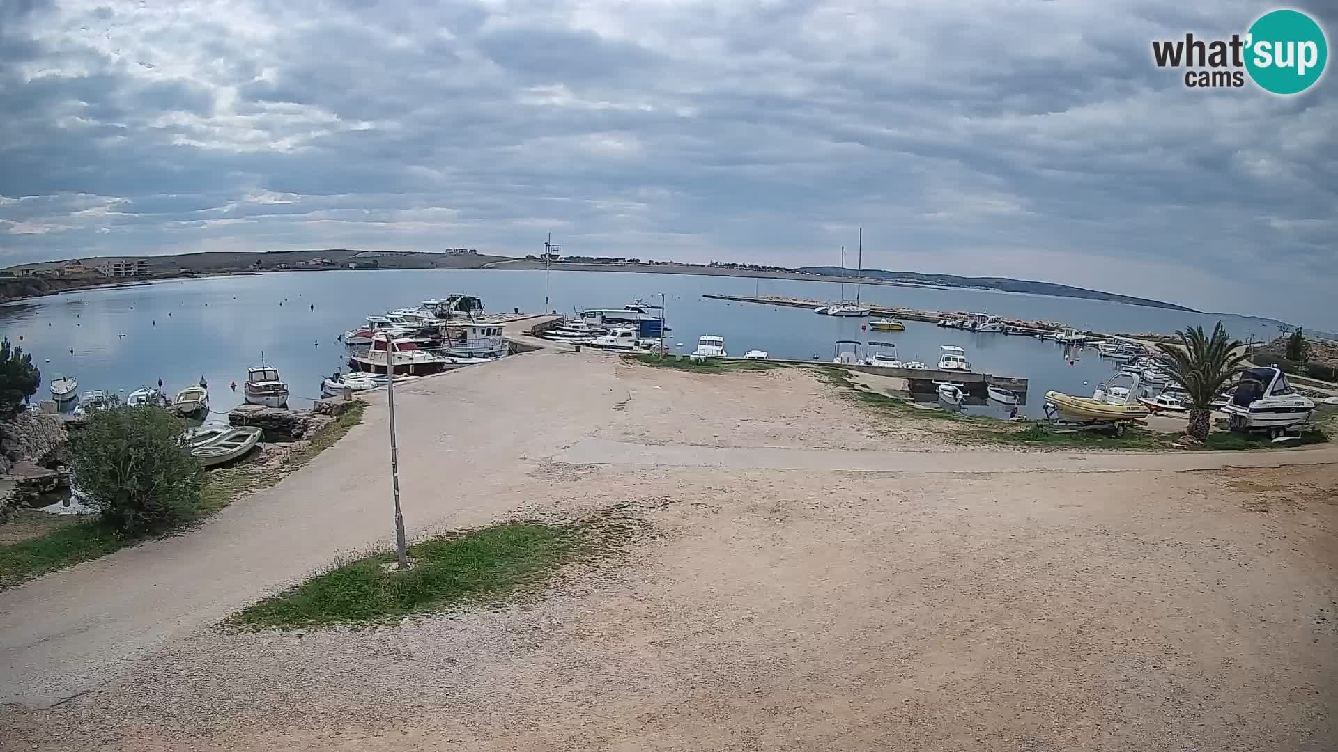 Livecam Pogliana – isola di Pago