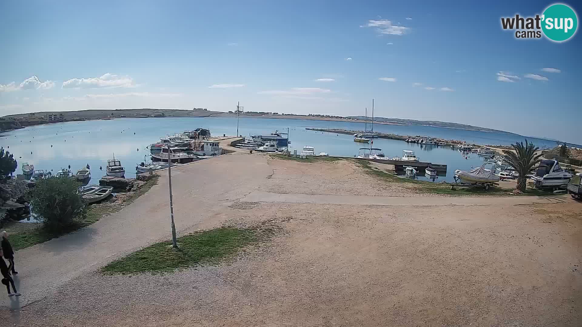 Camera en vivo Povljana – Pag isla