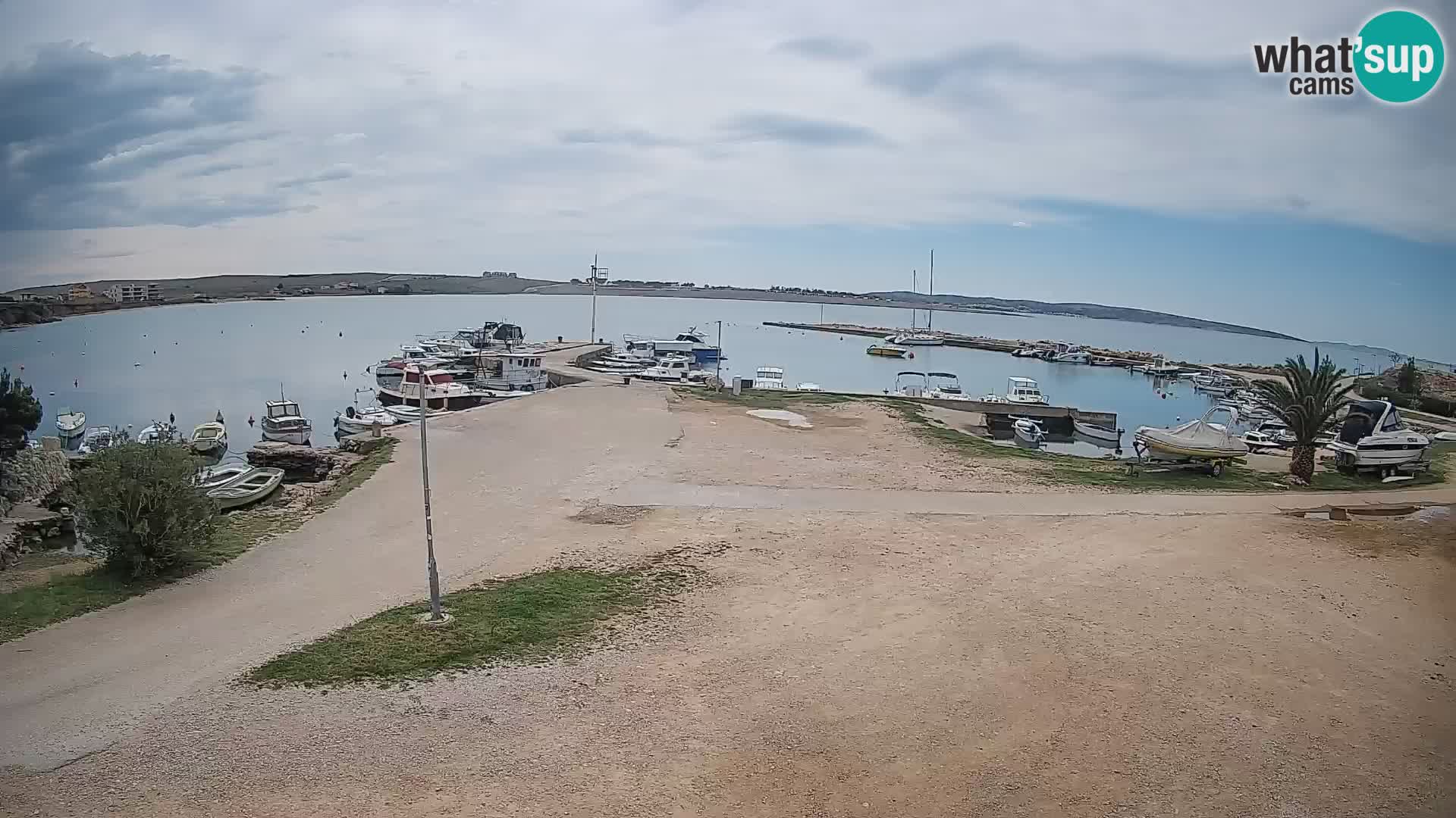 Camera en vivo Povljana – Pag isla