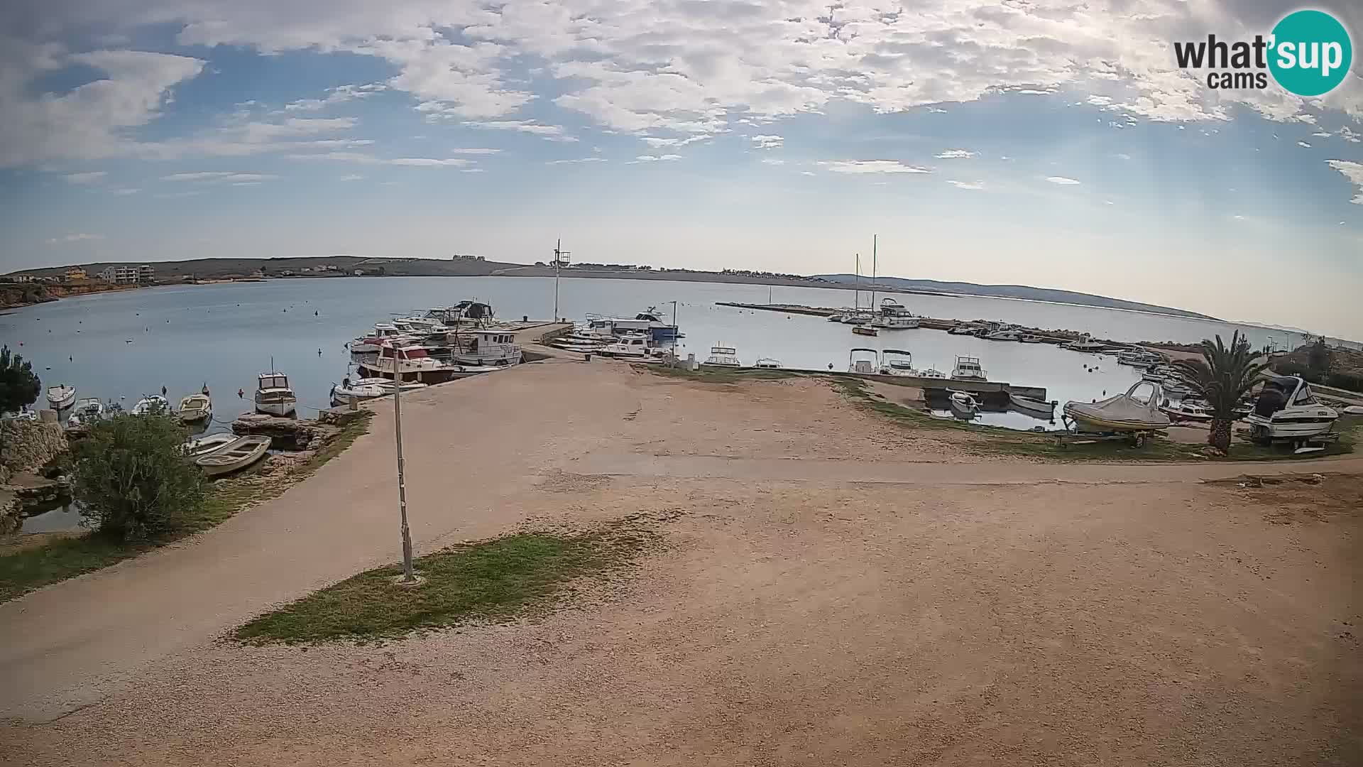 Camera en vivo Povljana – Pag isla