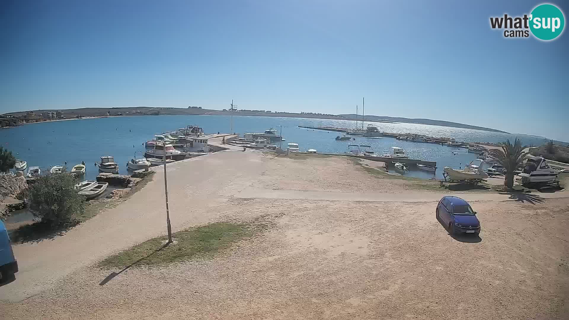 Camera en vivo Povljana – Pag isla