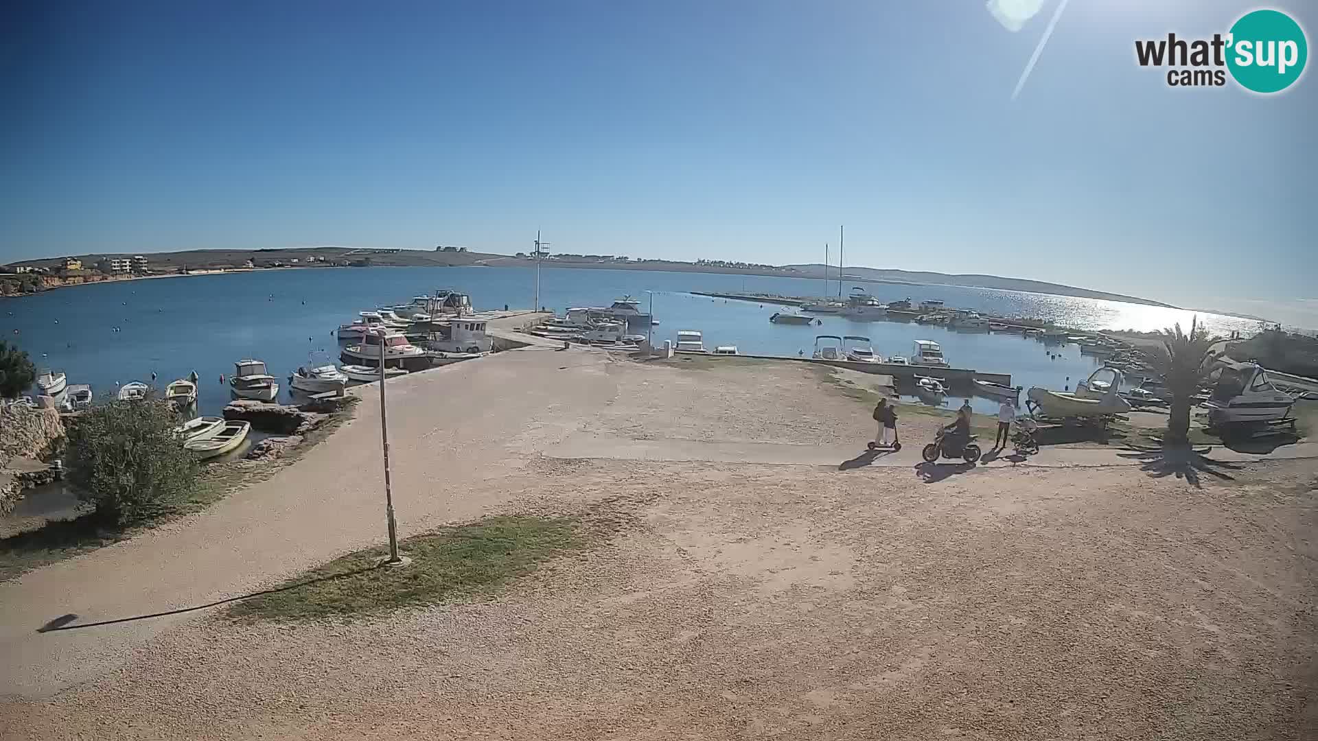 Camera en vivo Povljana – Pag isla