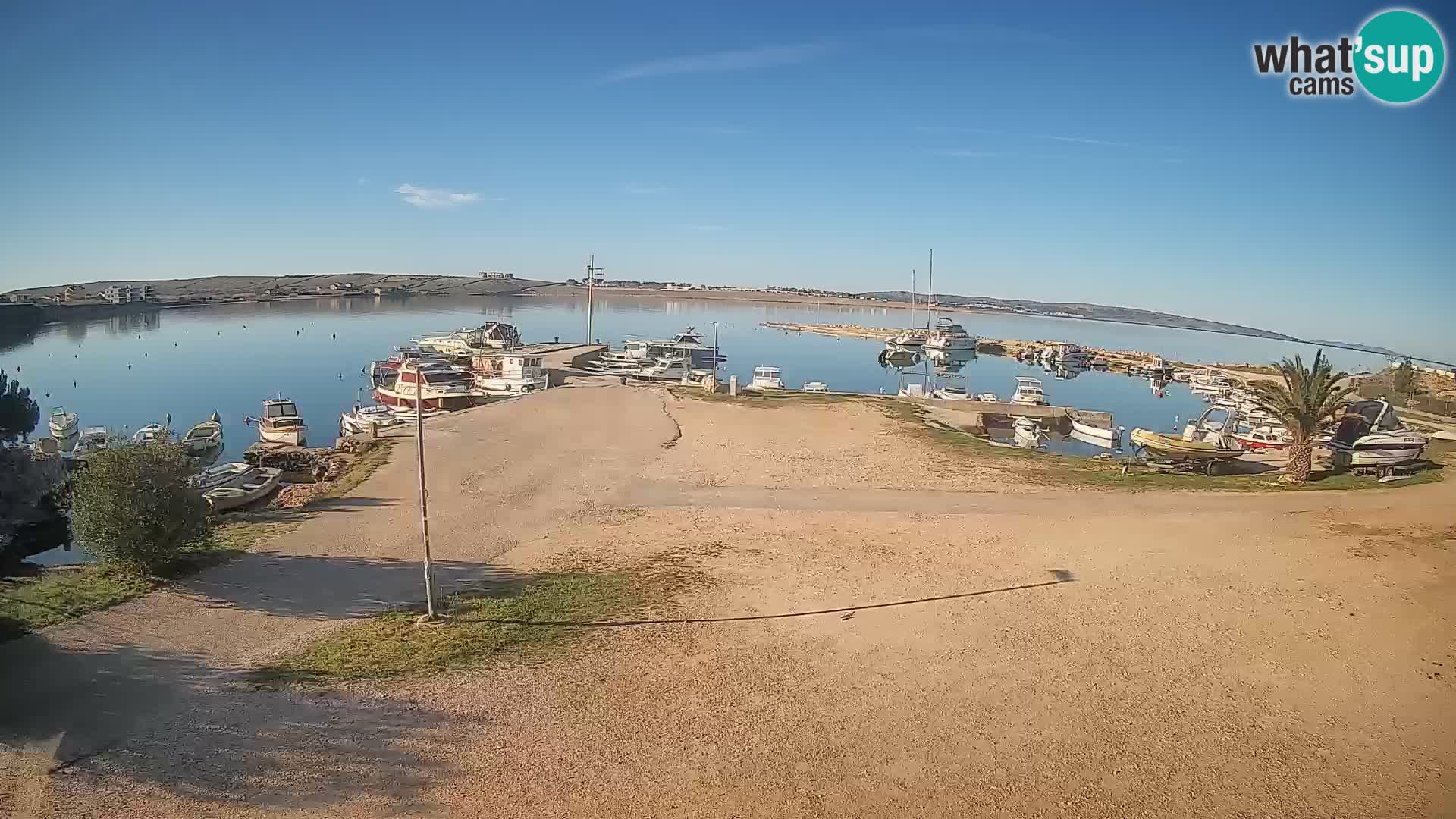 Camera en vivo Povljana – Pag isla