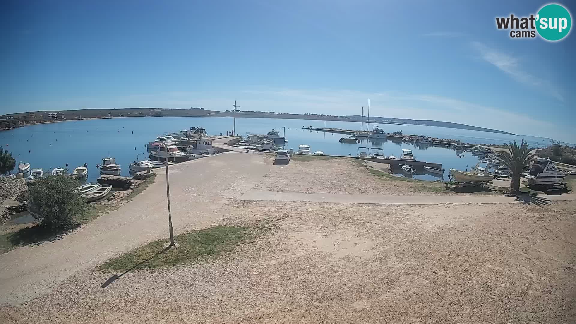Camera en vivo Povljana – Pag isla