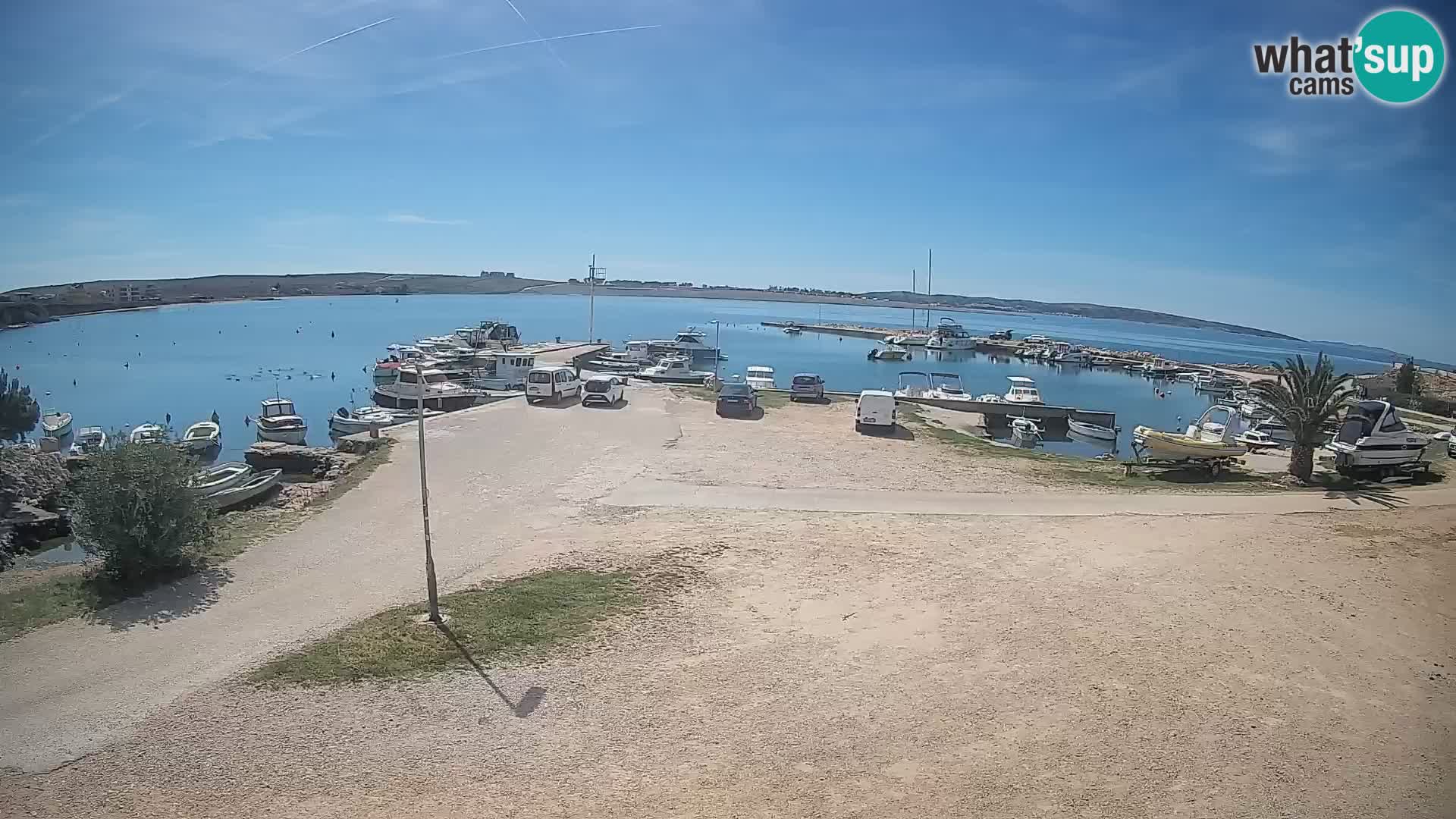 Camera en vivo Povljana – Pag isla