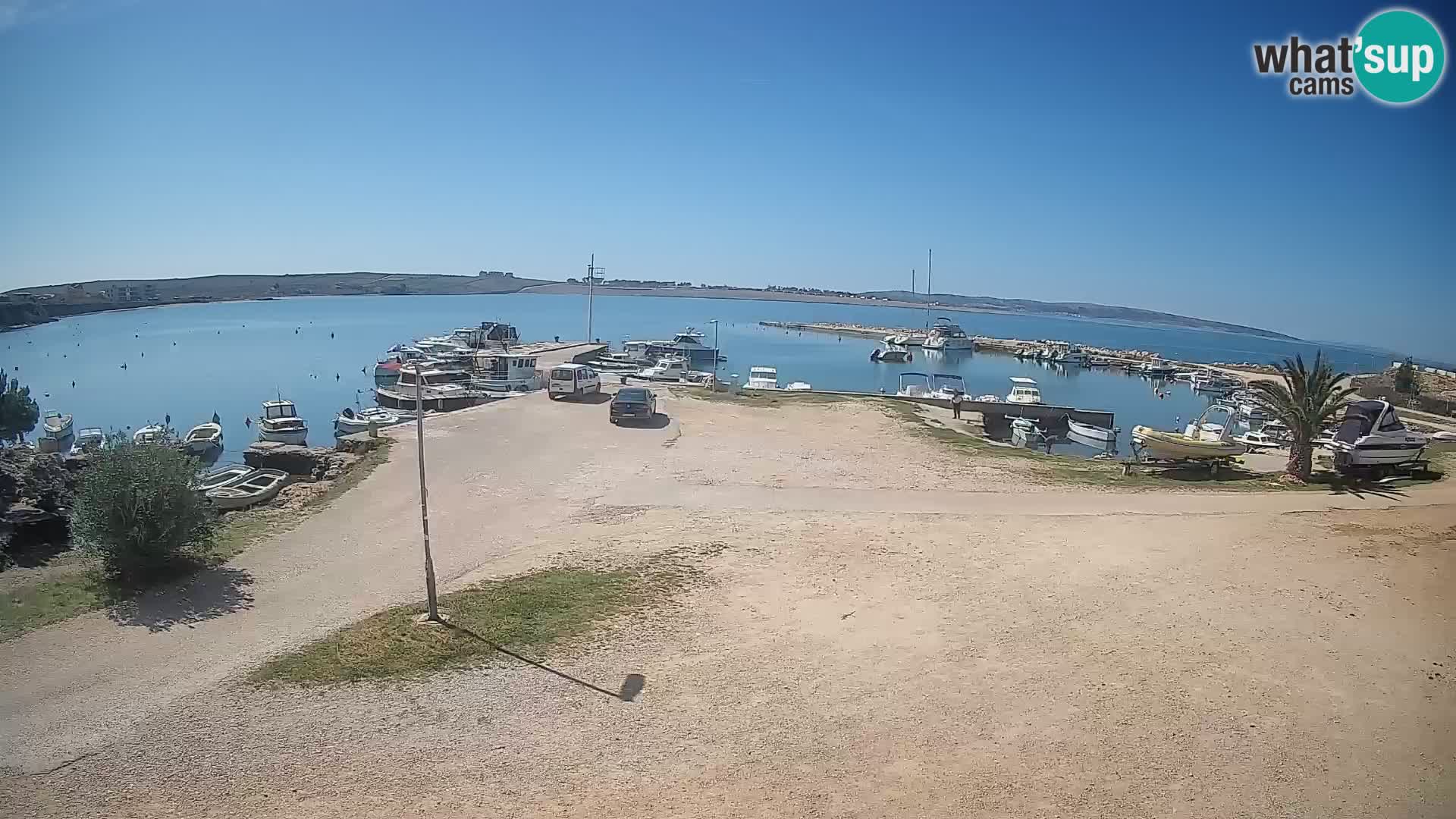 Camera en vivo Povljana – Pag isla