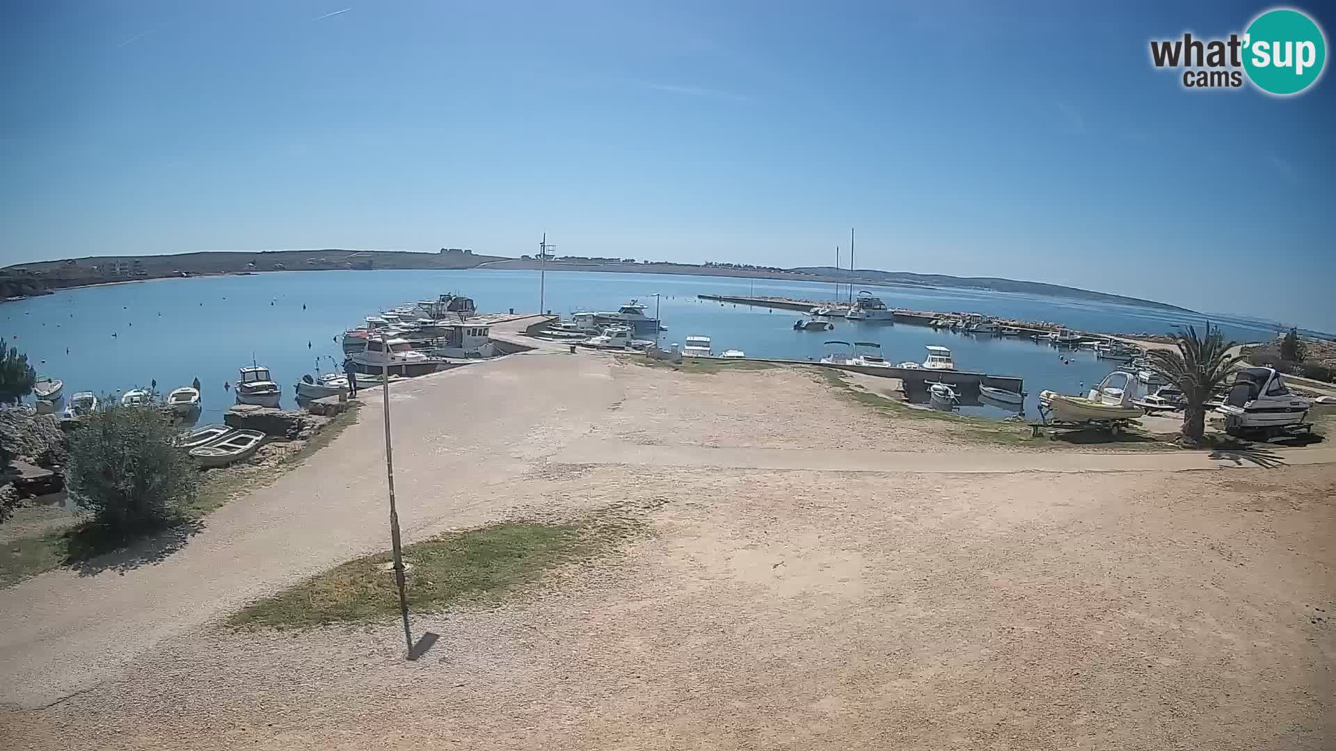 Camera en vivo Povljana – Pag isla