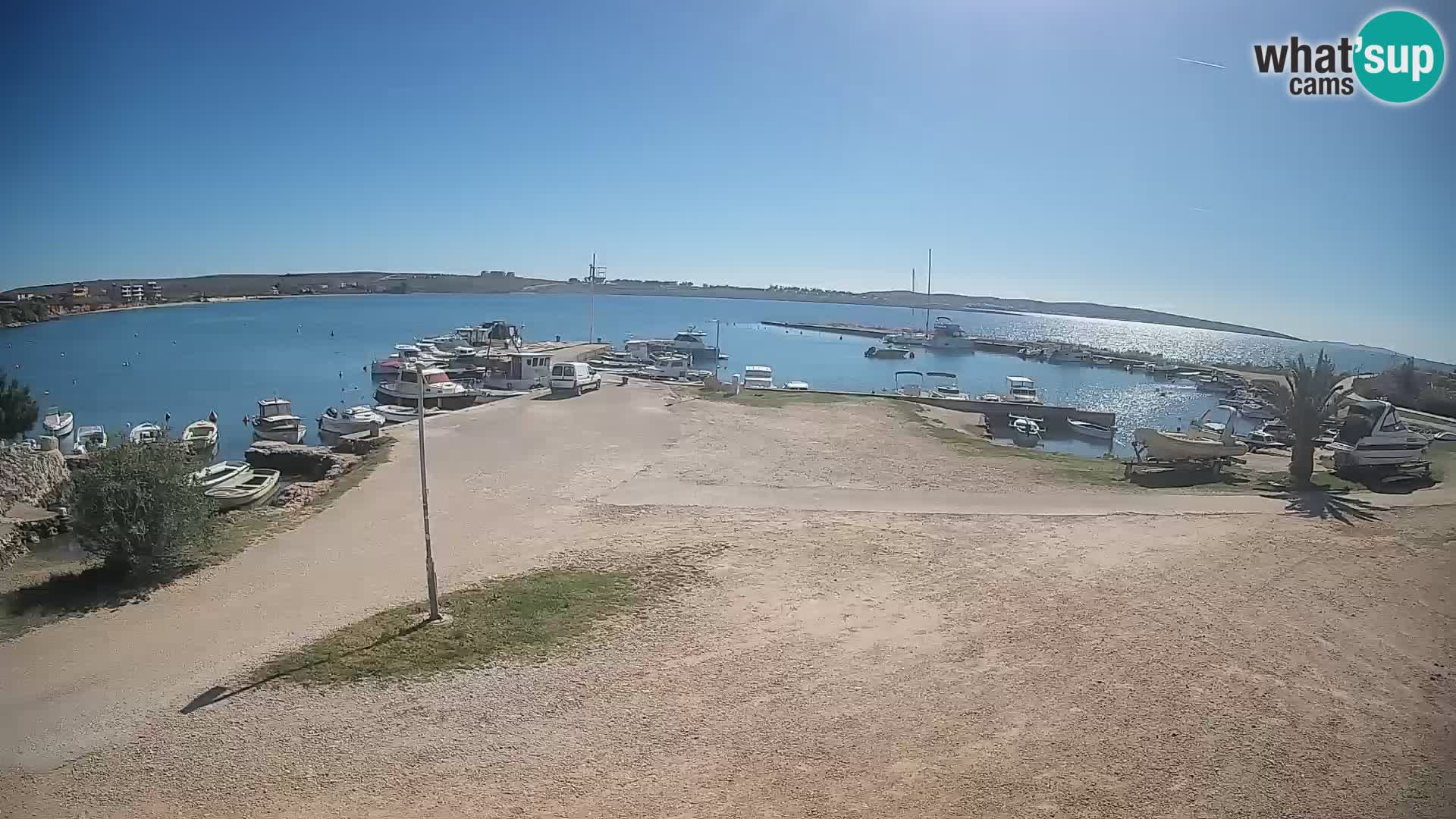 Camera en vivo Povljana – Pag isla