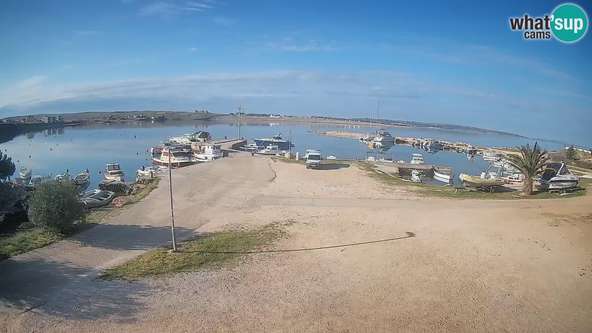 Camera en vivo Povljana – Pag isla
