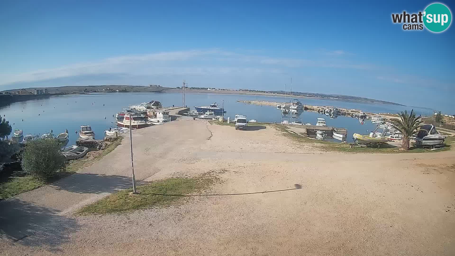 Camera en vivo Povljana – Pag isla