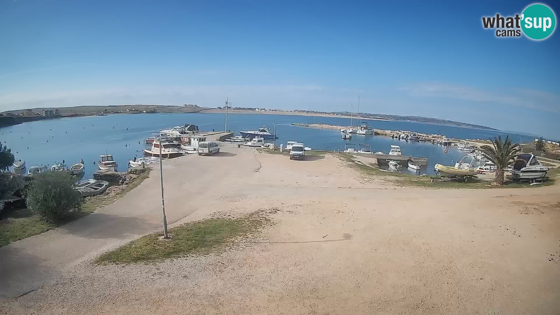 Camera en vivo Povljana – Pag isla