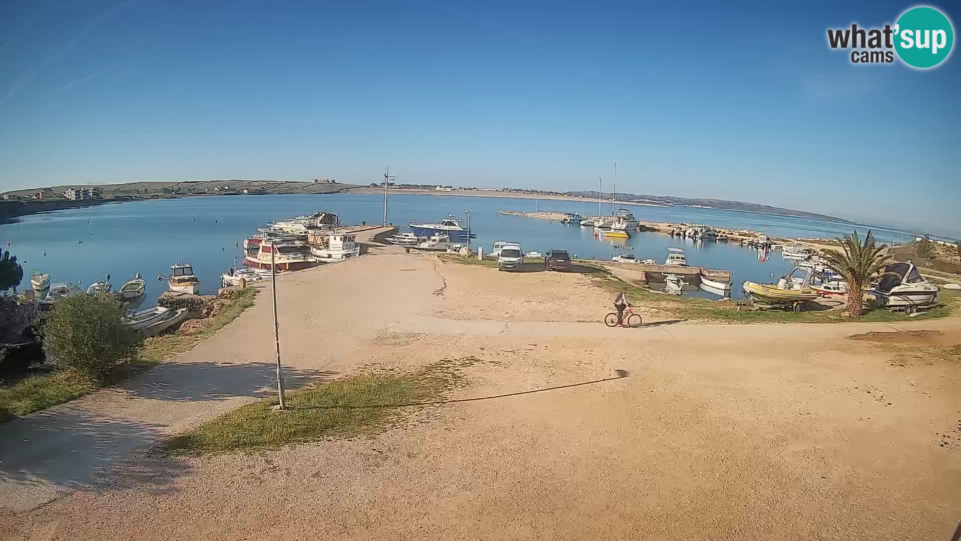 Camera en vivo Povljana – Pag isla