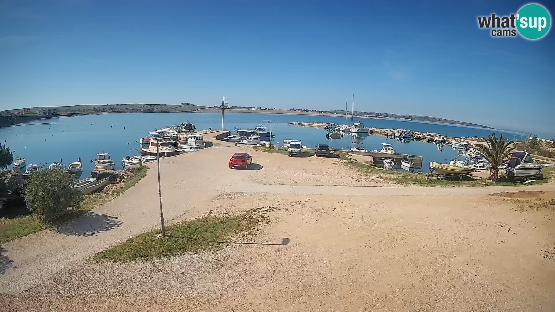 Camera en vivo Povljana – Pag isla