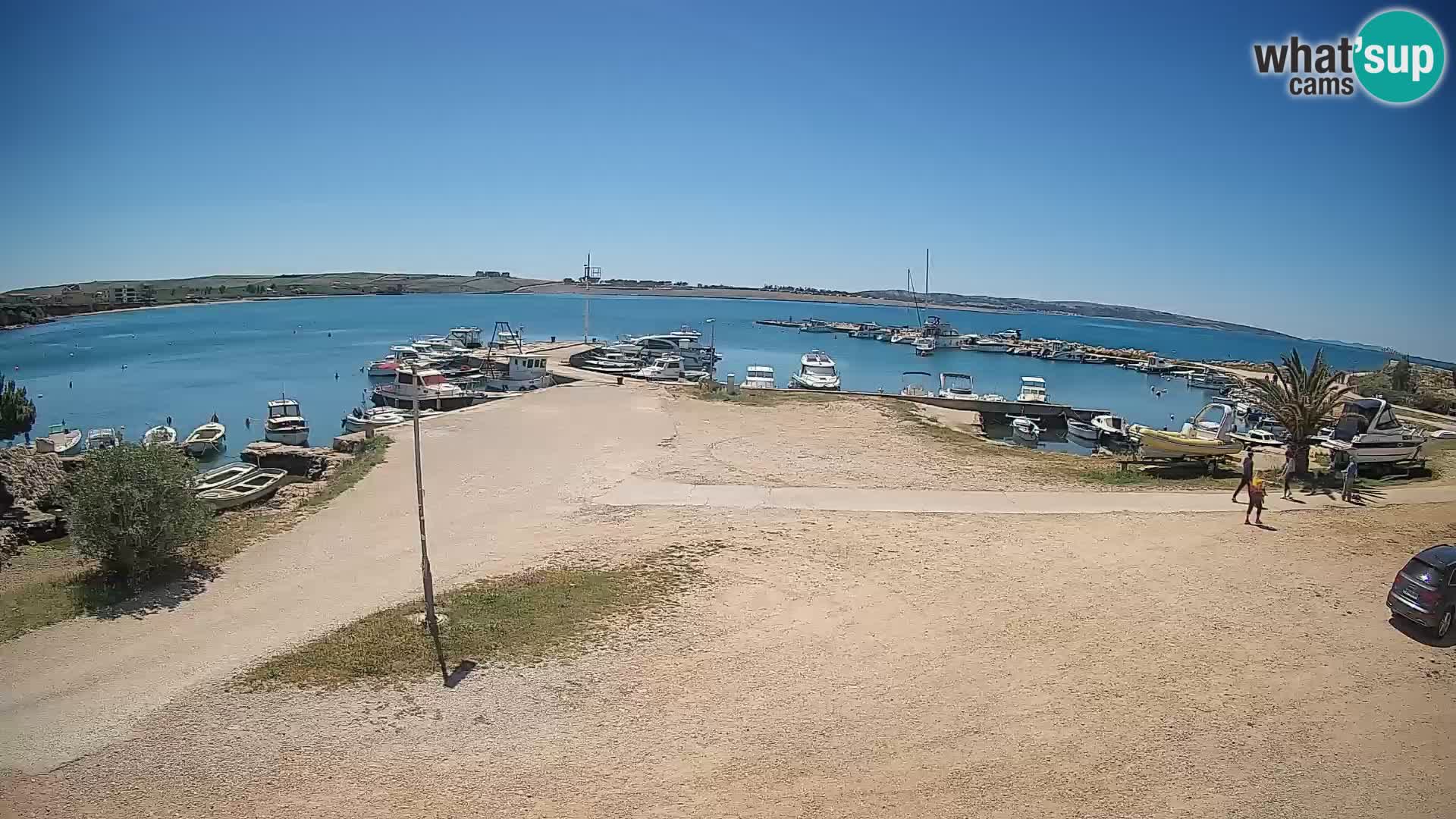 Camera en vivo Povljana – Pag isla