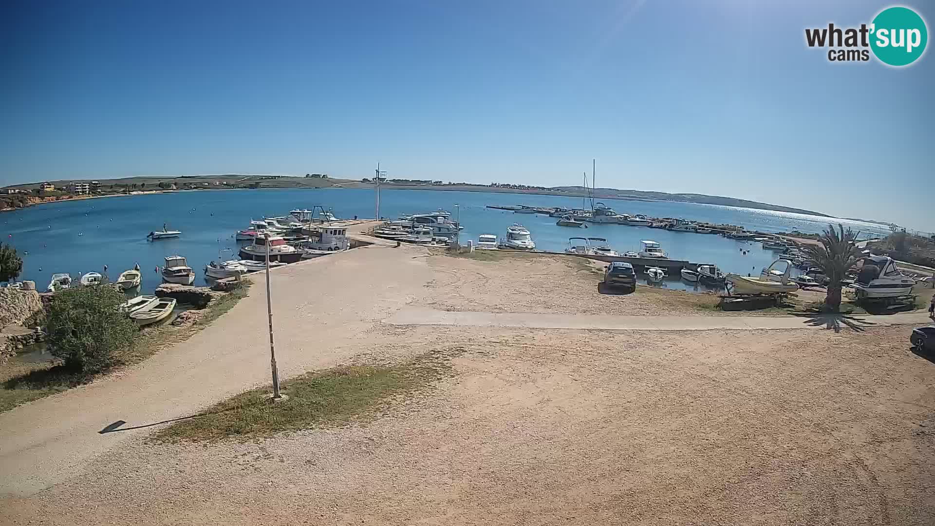 Camera en vivo Povljana – Pag isla