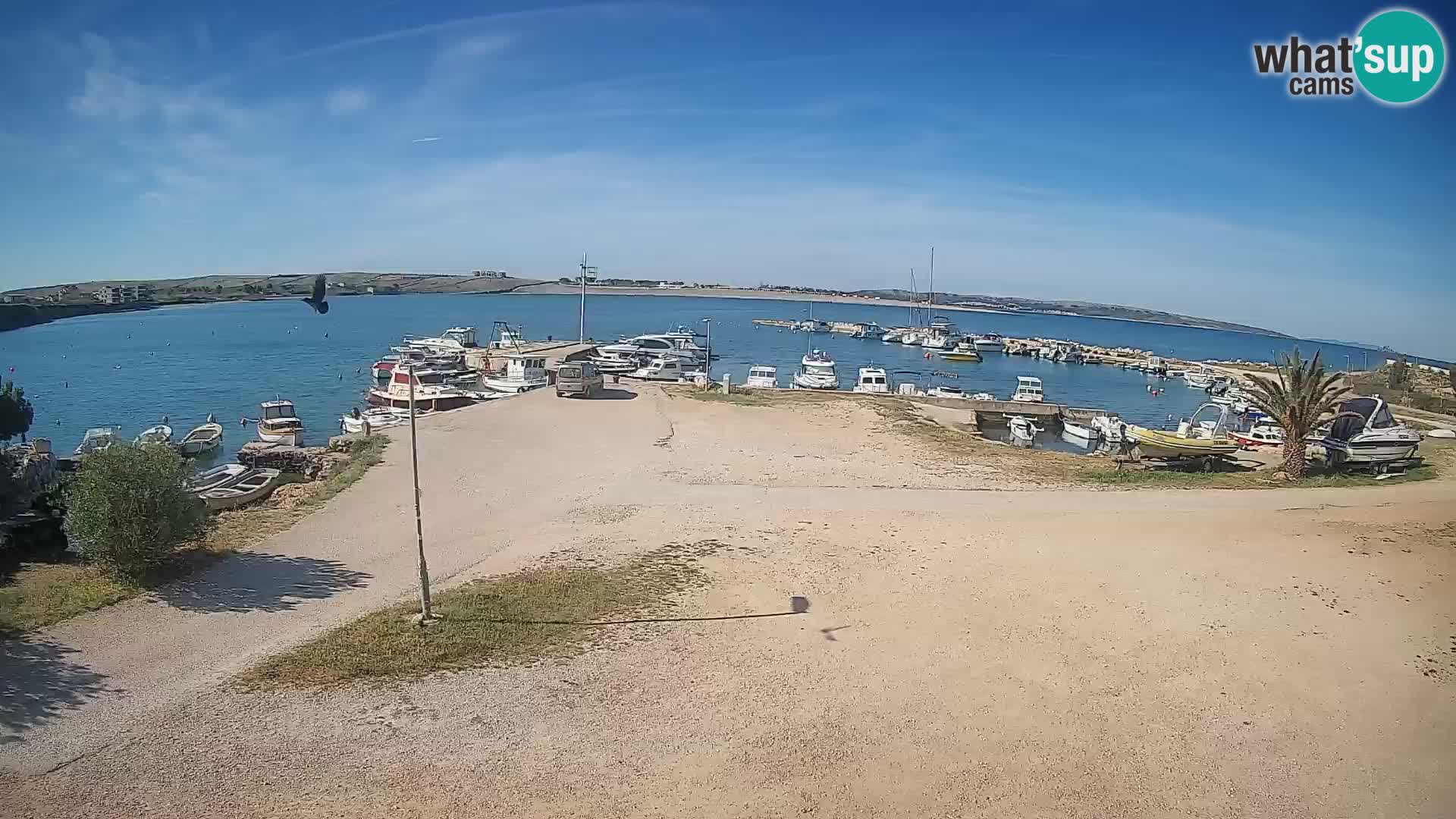Livecam Pogliana – isola di Pago