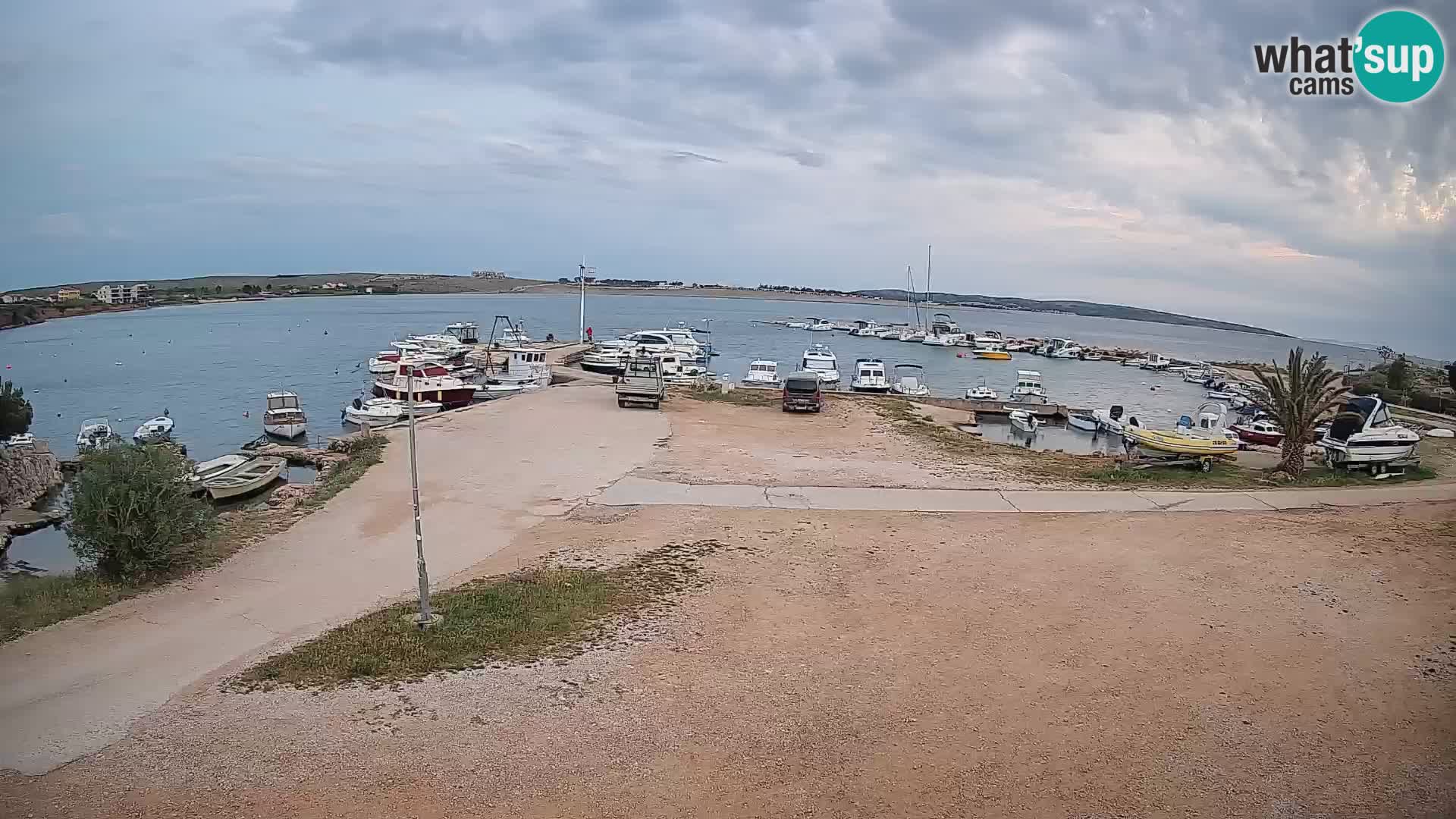 Camera en vivo Povljana – Pag isla
