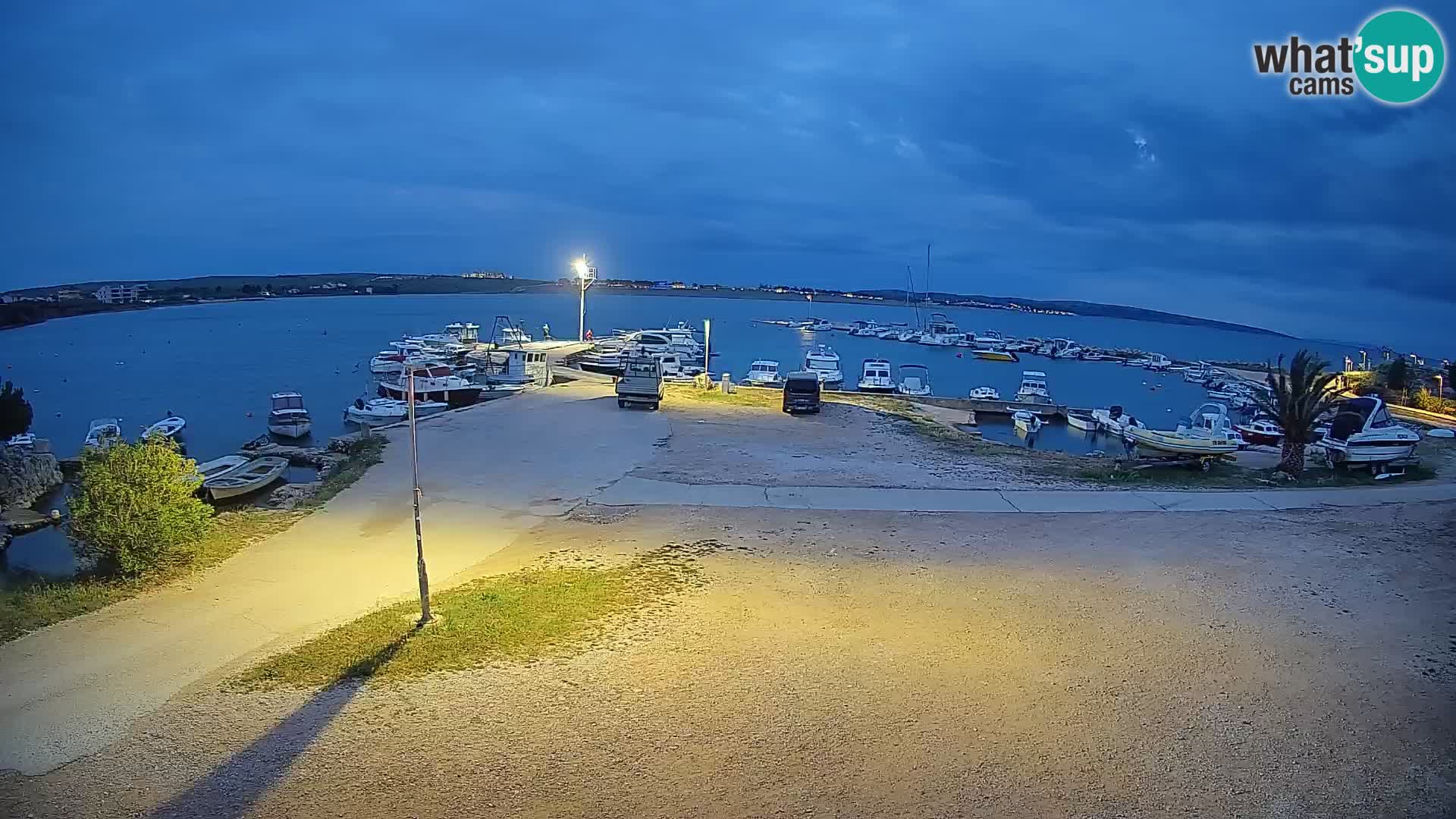 Camera en vivo Povljana – Pag isla