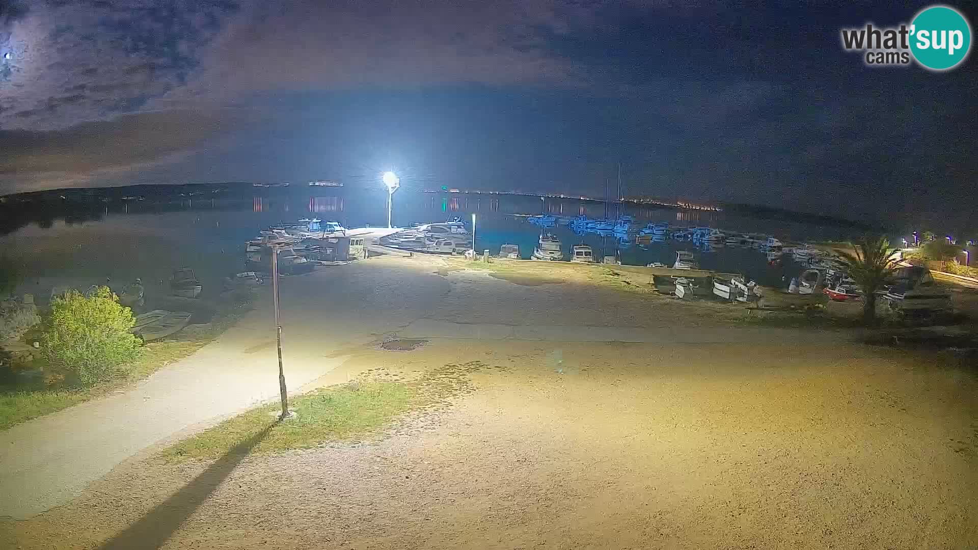Camera en vivo Povljana – Pag isla