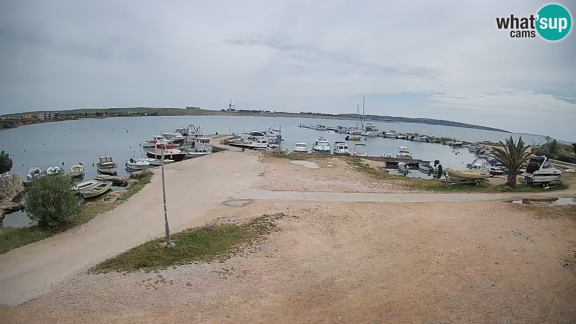 Livecam Pogliana – isola di Pago