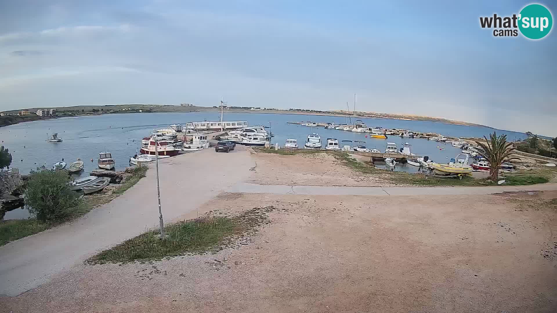 Camera en vivo Povljana – Pag isla