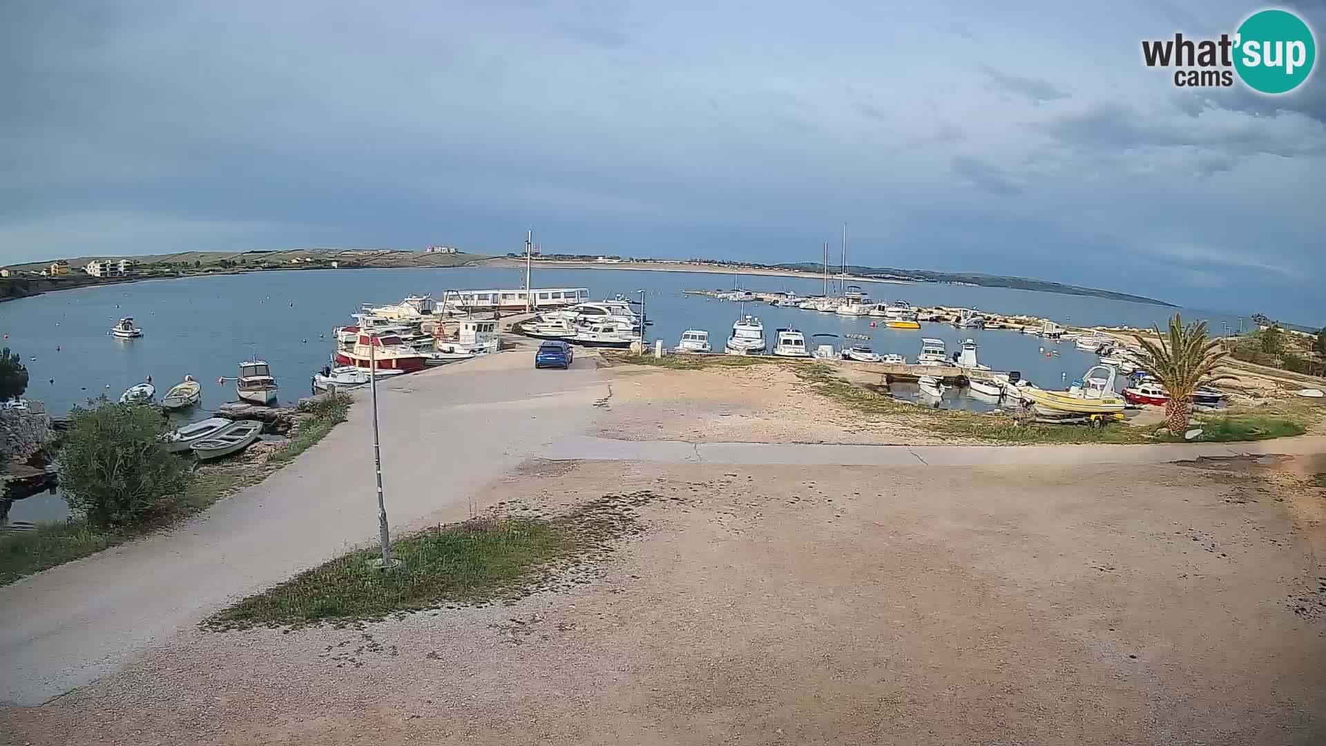 Camera en vivo Povljana – Pag isla