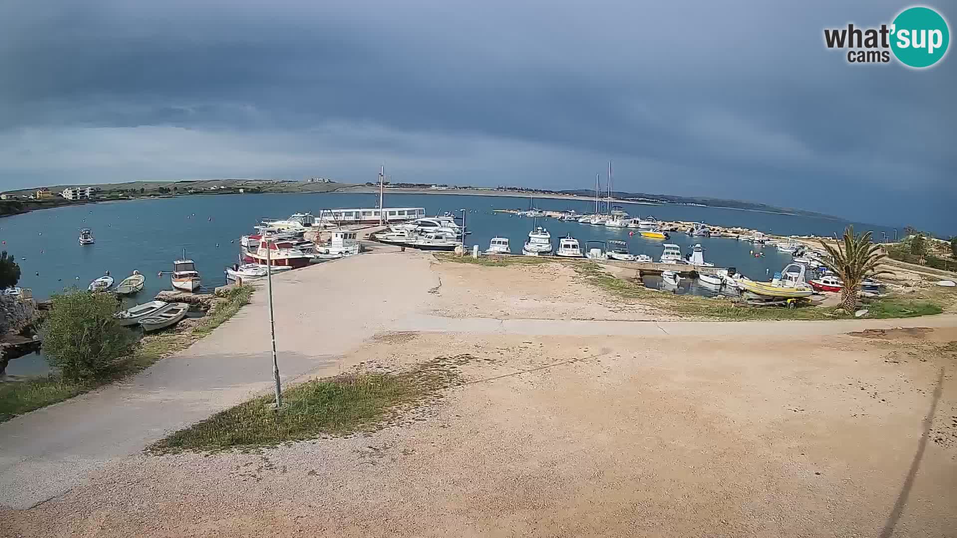 Camera en vivo Povljana – Pag isla
